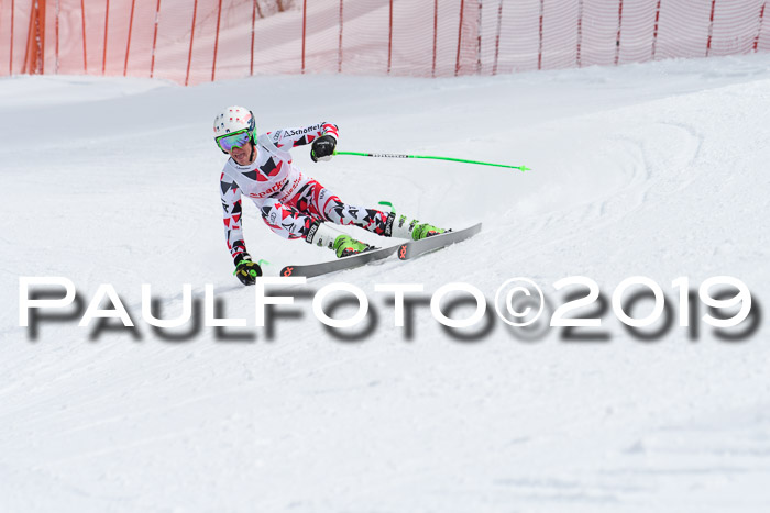 FIS, Int. Dt. Meisterschaft Abfahrt, Training, Damen + Herren, 19.03.2019