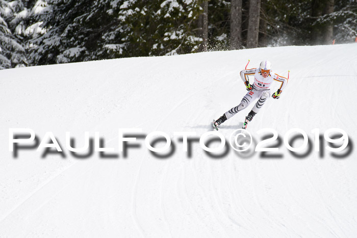 FIS, Int. Dt. Meisterschaft Abfahrt, Training, Damen + Herren, 19.03.2019