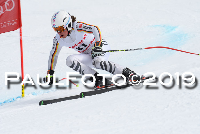 FIS, Int. Dt. Meisterschaft Abfahrt, Training, Damen + Herren, 19.03.2019