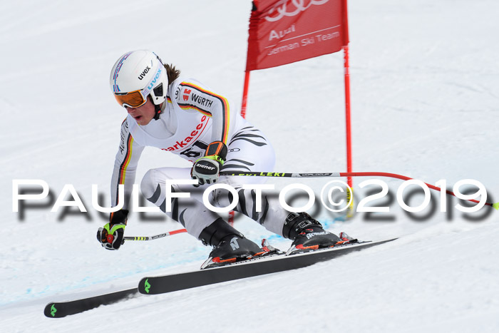 FIS, Int. Dt. Meisterschaft Abfahrt, Training, Damen + Herren, 19.03.2019