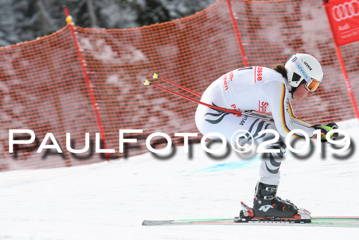 FIS, Int. Dt. Meisterschaft Abfahrt, Training, Damen + Herren, 19.03.2019