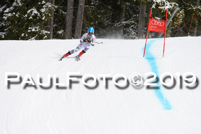 FIS, Int. Dt. Meisterschaft Abfahrt, Training, Damen + Herren, 19.03.2019