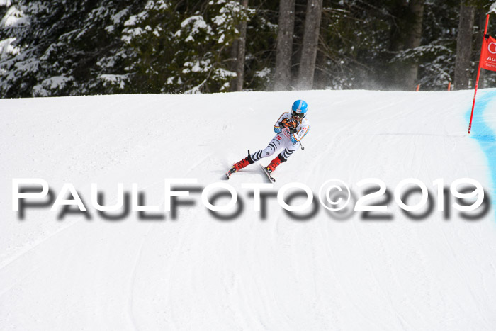 FIS, Int. Dt. Meisterschaft Abfahrt, Training, Damen + Herren, 19.03.2019