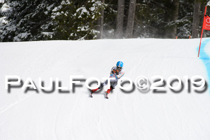 FIS, Int. Dt. Meisterschaft Abfahrt, Training, Damen + Herren, 19.03.2019