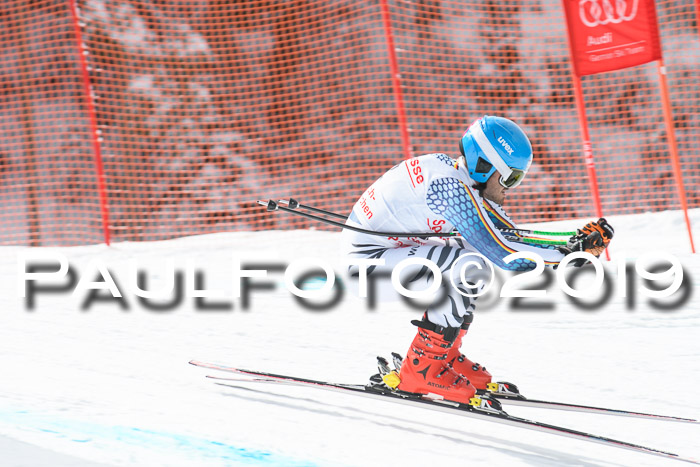 FIS, Int. Dt. Meisterschaft Abfahrt, Training, Damen + Herren, 19.03.2019