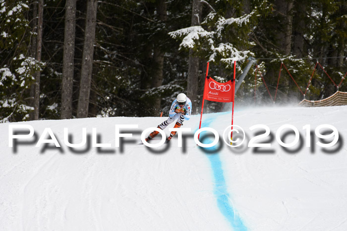 FIS, Int. Dt. Meisterschaft Abfahrt, Training, Damen + Herren, 19.03.2019