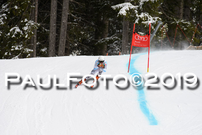 FIS, Int. Dt. Meisterschaft Abfahrt, Training, Damen + Herren, 19.03.2019