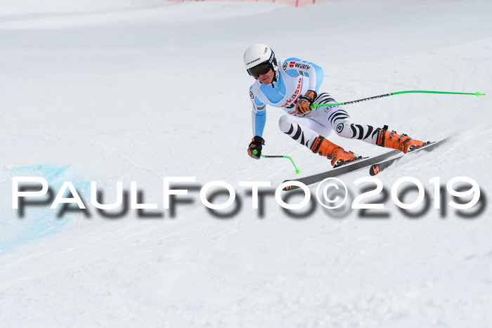 FIS, Int. Dt. Meisterschaft Abfahrt, Training, Damen + Herren, 19.03.2019