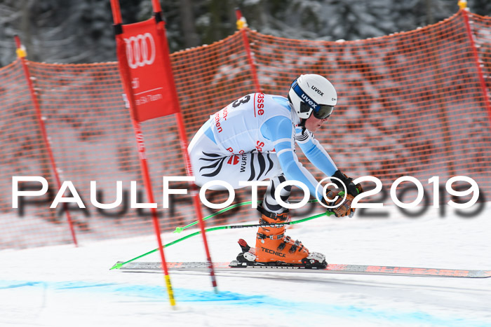FIS, Int. Dt. Meisterschaft Abfahrt, Training, Damen + Herren, 19.03.2019