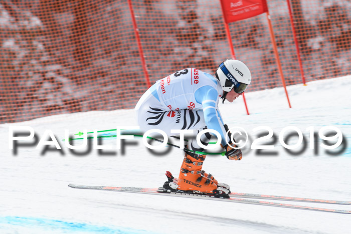 FIS, Int. Dt. Meisterschaft Abfahrt, Training, Damen + Herren, 19.03.2019
