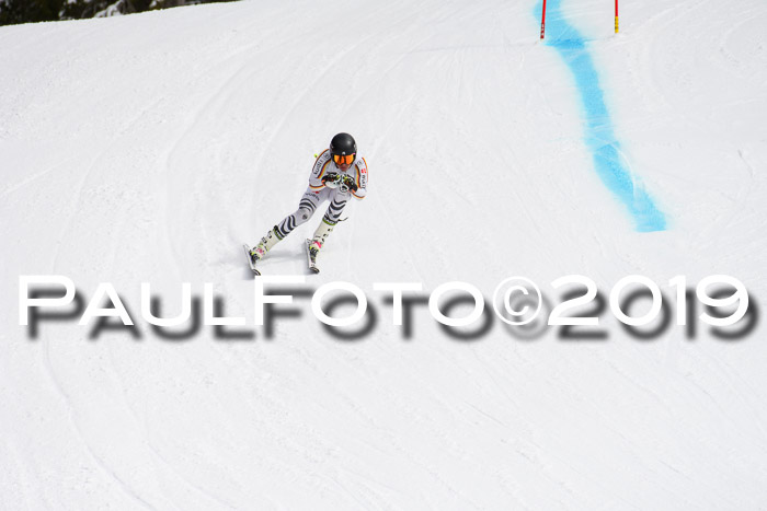 FIS, Int. Dt. Meisterschaft Abfahrt, Training, Damen + Herren, 19.03.2019