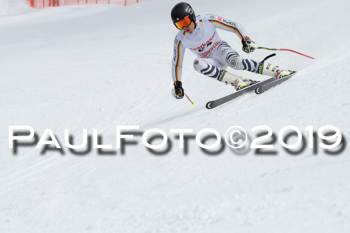 FIS, Int. Dt. Meisterschaft Abfahrt, Training, Damen + Herren, 19.03.2019