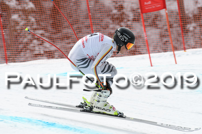 FIS, Int. Dt. Meisterschaft Abfahrt, Training, Damen + Herren, 19.03.2019