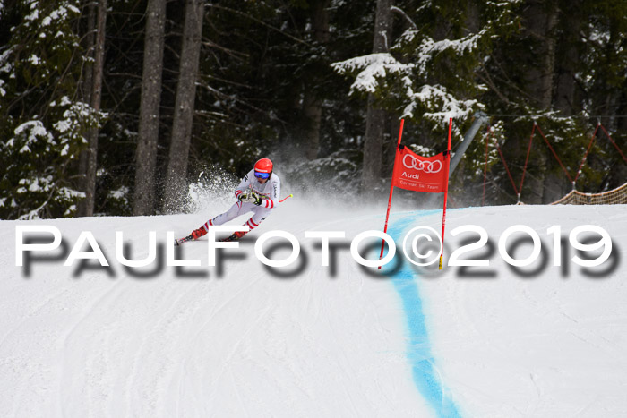 FIS, Int. Dt. Meisterschaft Abfahrt, Training, Damen + Herren, 19.03.2019
