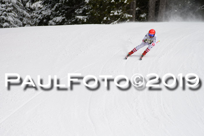 FIS, Int. Dt. Meisterschaft Abfahrt, Training, Damen + Herren, 19.03.2019