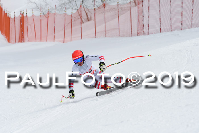 FIS, Int. Dt. Meisterschaft Abfahrt, Training, Damen + Herren, 19.03.2019
