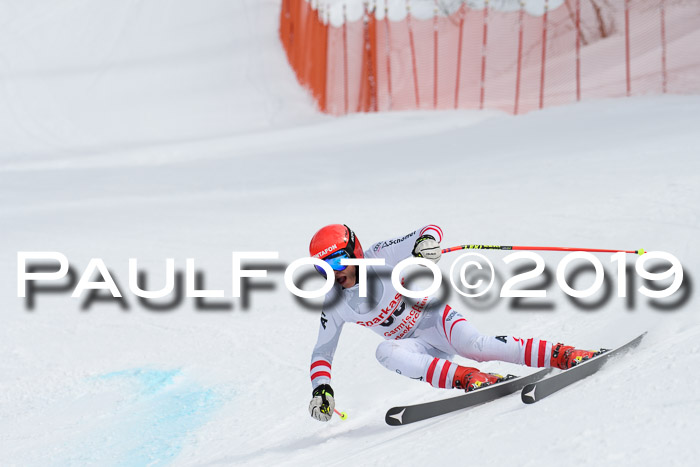 FIS, Int. Dt. Meisterschaft Abfahrt, Training, Damen + Herren, 19.03.2019