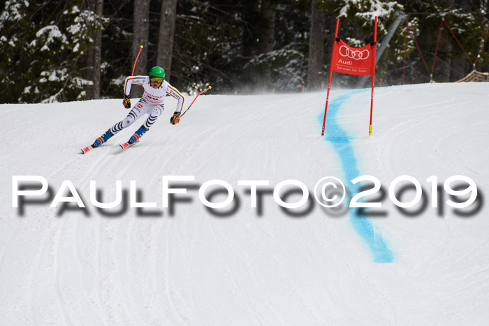 FIS, Int. Dt. Meisterschaft Abfahrt, Training, Damen + Herren, 19.03.2019