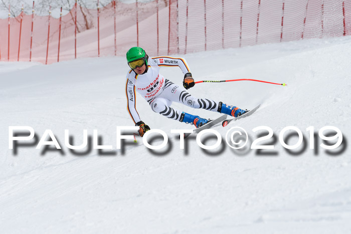FIS, Int. Dt. Meisterschaft Abfahrt, Training, Damen + Herren, 19.03.2019