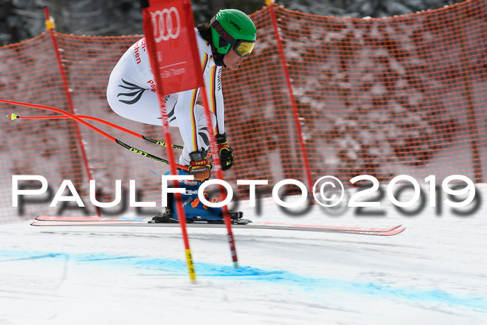 FIS, Int. Dt. Meisterschaft Abfahrt, Training, Damen + Herren, 19.03.2019