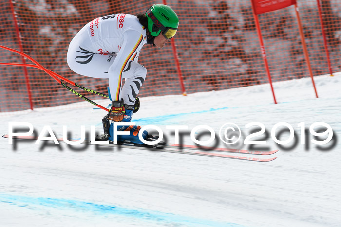 FIS, Int. Dt. Meisterschaft Abfahrt, Training, Damen + Herren, 19.03.2019