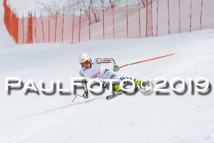 FIS, Int. Dt. Meisterschaft Abfahrt, Training, Damen + Herren, 19.03.2019