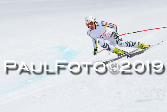 FIS, Int. Dt. Meisterschaft Abfahrt, Training, Damen + Herren, 19.03.2019