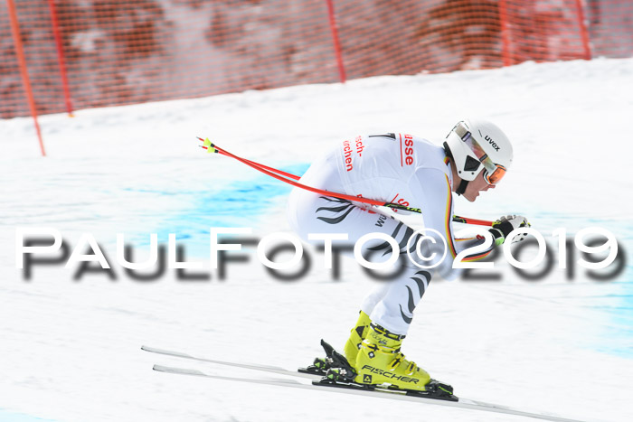 FIS, Int. Dt. Meisterschaft Abfahrt, Training, Damen + Herren, 19.03.2019