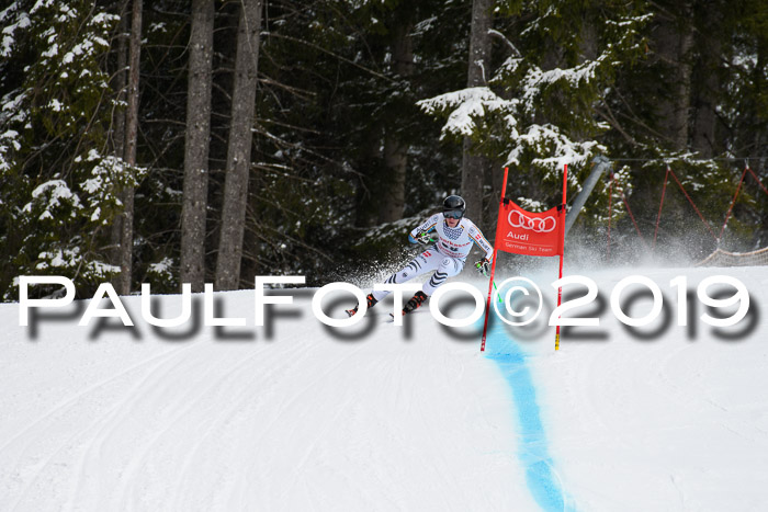 FIS, Int. Dt. Meisterschaft Abfahrt, Training, Damen + Herren, 19.03.2019