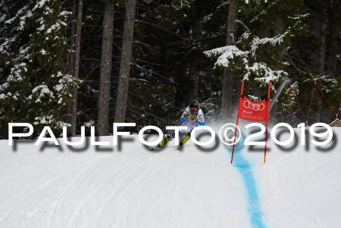 FIS, Int. Dt. Meisterschaft Abfahrt, Training, Damen + Herren, 19.03.2019