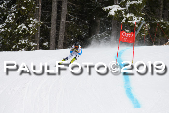FIS, Int. Dt. Meisterschaft Abfahrt, Training, Damen + Herren, 19.03.2019