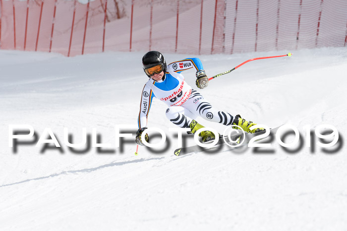 FIS, Int. Dt. Meisterschaft Abfahrt, Training, Damen + Herren, 19.03.2019