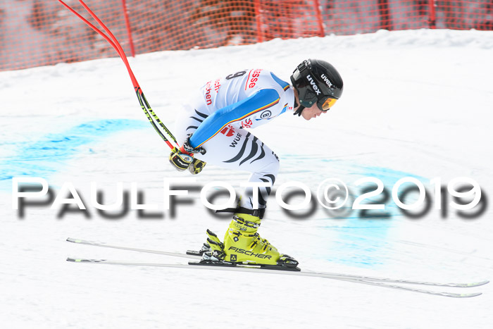 FIS, Int. Dt. Meisterschaft Abfahrt, Training, Damen + Herren, 19.03.2019