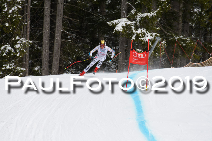 FIS, Int. Dt. Meisterschaft Abfahrt, Training, Damen + Herren, 19.03.2019