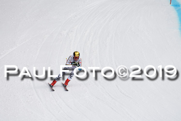 FIS, Int. Dt. Meisterschaft Abfahrt, Training, Damen + Herren, 19.03.2019