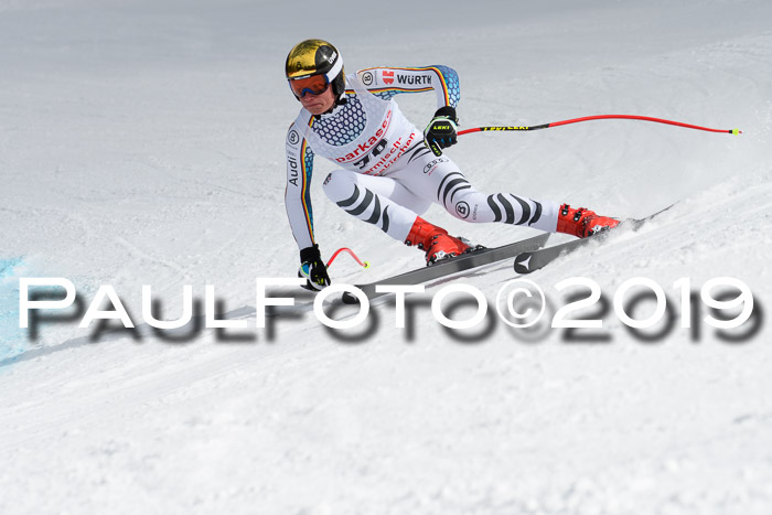 FIS, Int. Dt. Meisterschaft Abfahrt, Training, Damen + Herren, 19.03.2019