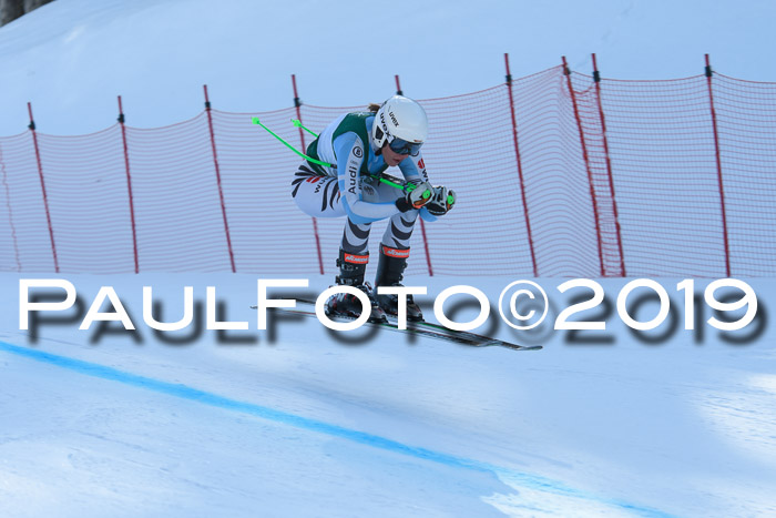 FIS, Int. Dt. Meisterschaft Abfahrt, Damen + Herren, 20.03.2019
