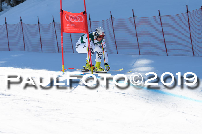 FIS, Int. Dt. Meisterschaft Abfahrt, Damen + Herren, 20.03.2019