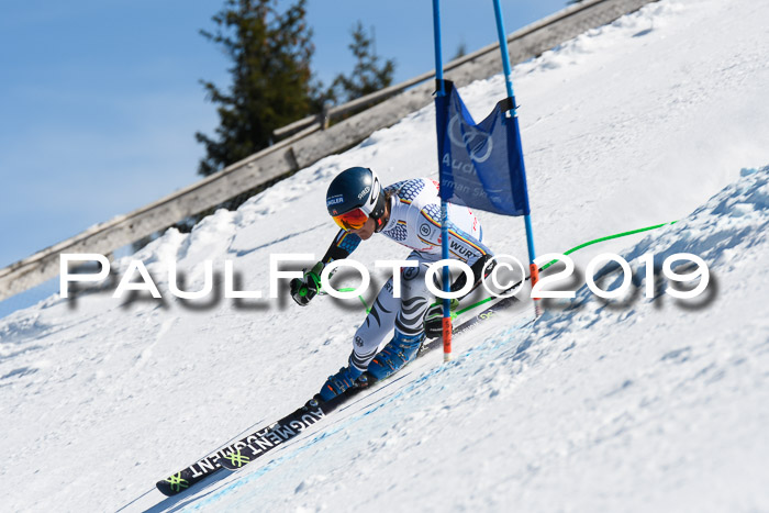 NJC Super-G, Damen + Herren, 21.03.2019