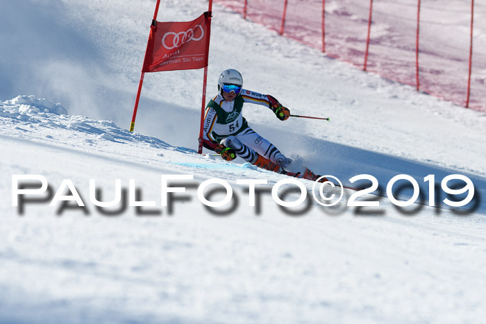 NC Riesenslalom Herren 23.03.2019