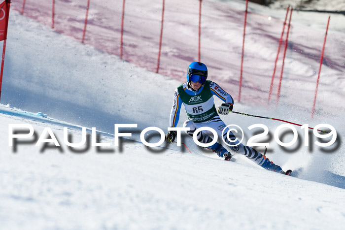 NC Riesenslalom Herren 23.03.2019