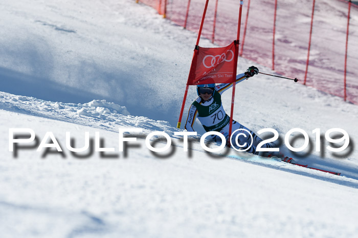 NC Riesenslalom Herren 23.03.2019