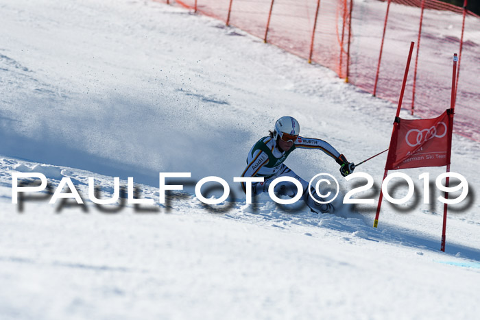 NC Riesenslalom Herren 23.03.2019