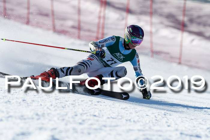 NC Riesenslalom Herren 23.03.2019