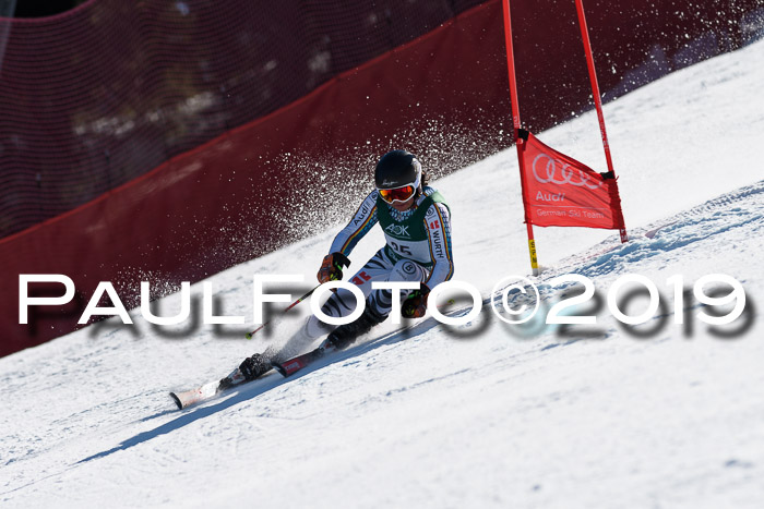 NC Riesenslalom Herren 23.03.2019