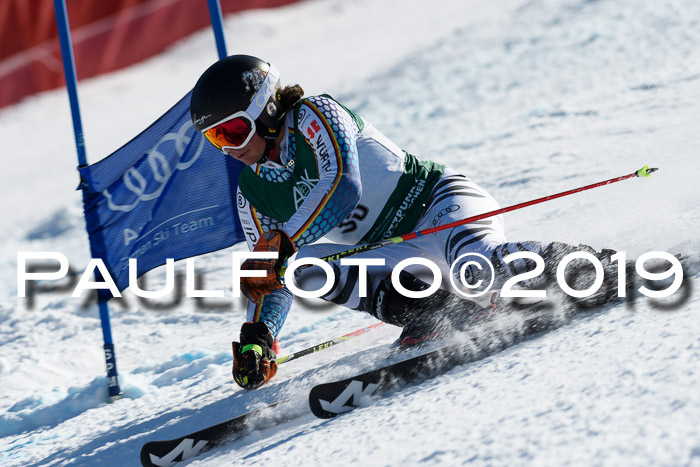 NC Riesenslalom Herren 23.03.2019