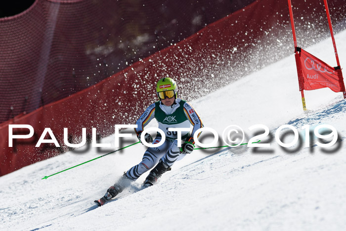 NC Riesenslalom Herren 23.03.2019