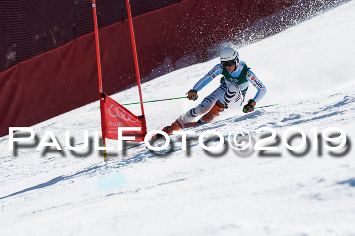 NC Riesenslalom Herren 23.03.2019