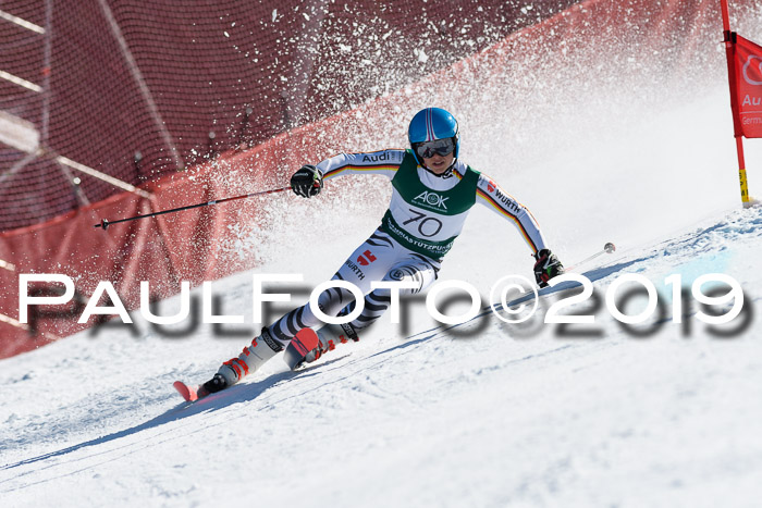 NC Riesenslalom Herren 23.03.2019