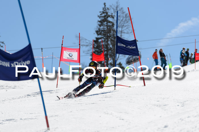 Ziener Cup WF,Finale, Quali + PSL, 30.03.2019